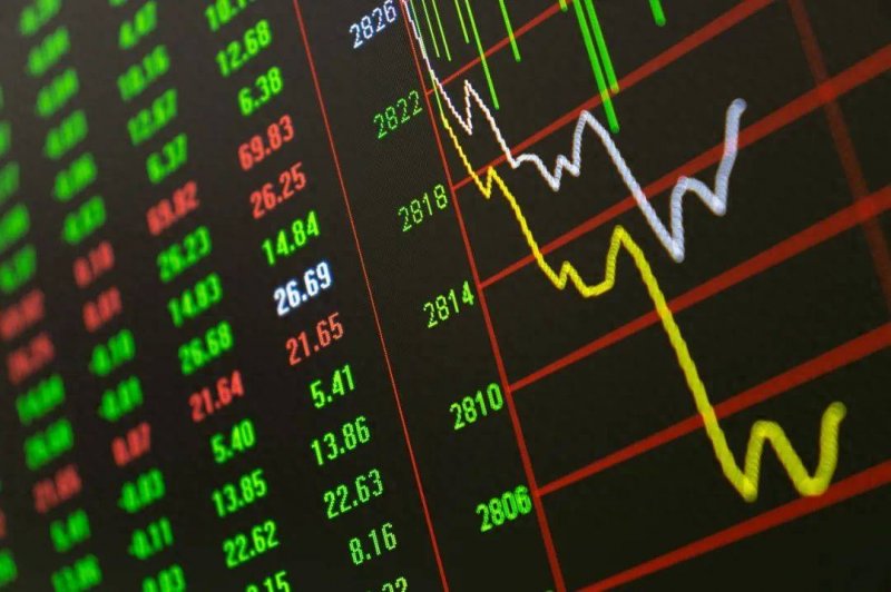 外汇平台xm代理破译蚂蚁社会“文明”的基因口令